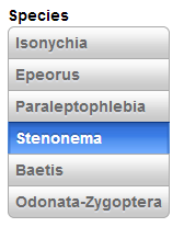 Set to "false" with button selected